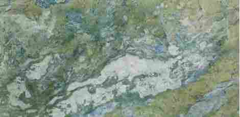 Керамогранит Paradise Rain Forest Green Polished 60x120