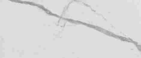Плитка Roma Gold Carrara Superiore Brillante 50x120