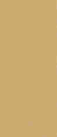 Плитка True Color Caramel 50x120