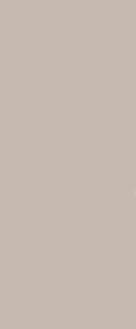 Плитка True Color Fossil 50x120