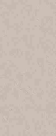 Плитка True Color Wind Fossil 50x120