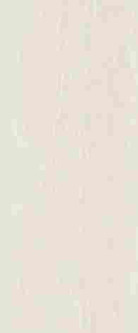 Плитка Regina beige wall 01 25x60