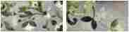 Декор Villani multi decor 02 10x20 фото 2