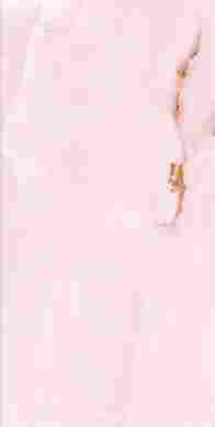 Керамогранит Rosa Onice Polish 60x120