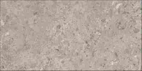 Керамогранит Bierzo Gris 60x120