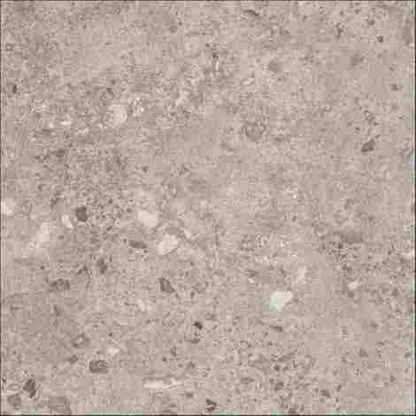 Керамогранит Bierzo Gris 80x80