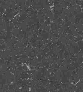 Керамогранит City Negro Liso 60x60