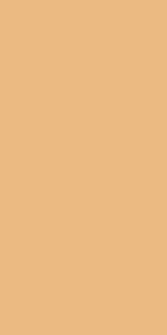 Керамогранит Surface Sun Патинированный 60x120