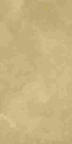 Плитка Terraviva Wall Project Senape 40x80