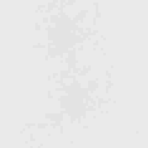 Керамогранит Silica Bianco Sugar 60x60