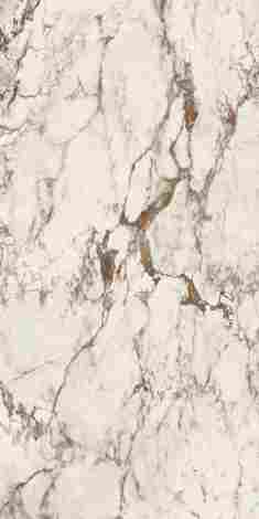 Керамогранит Interno4 Breccia Tortona Lappato 60x120 фото 3