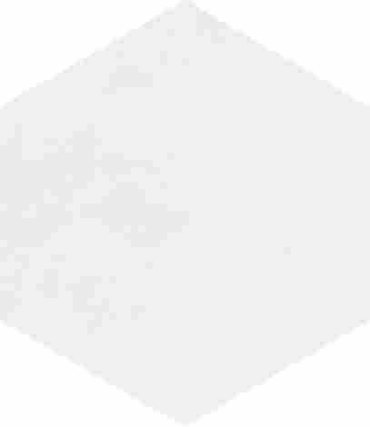 Плитка Флорентина белый глянцевый 20x23,1 фото 7