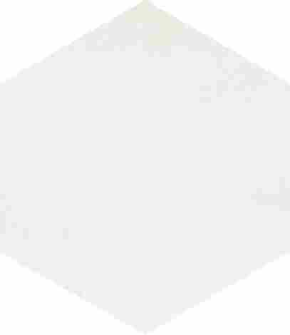Плитка Флорентина белый глянцевый 20x23,1 фото 11