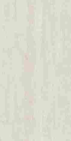 Плитка Сан-Марко серый светлый матовый обрезной 40x80 фото 3