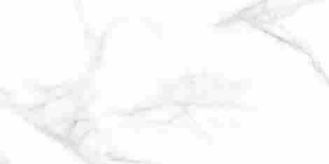 Плитка Calacatta Silver 31,5x63