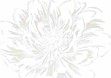 Панно Strato Anemone Crema (из 2-х плиток) 50,2x70,9