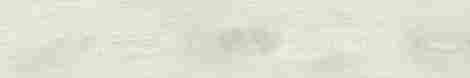 Керамогранит Dubrava White/Белый Структурированный 20x120 фото 2