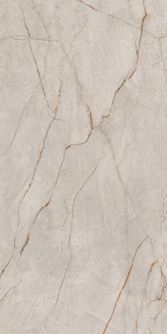 Керамогранит Mgnovenie K-2140 Серо-бежевый лаппатированный 60x120 фото 4