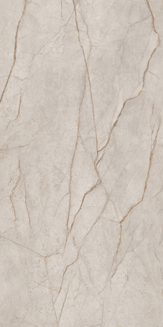 Керамогранит Mgnovenie K-2140 Серо-бежевый матовый 60x120 фото 4