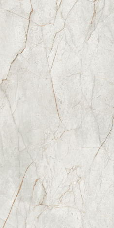 Керамогранит Mgnovenie K-2141 Светло-серый лаппатированный 60x120 фото 2