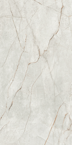 Керамогранит Mgnovenie K-2141 Светло-серый лаппатированный 60x120 фото 3