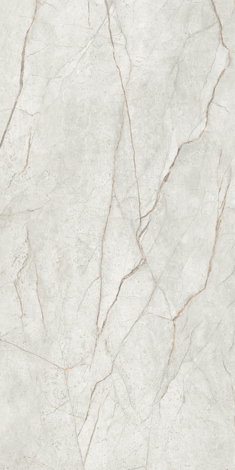 Керамогранит Mgnovenie K-2141 Светло-серый матовый 60x120 фото 3