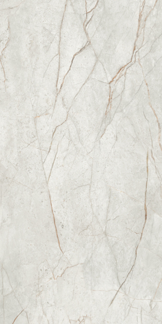 Керамогранит Mgnovenie K-2141 Светло-серый матовый 60x120 фото 5