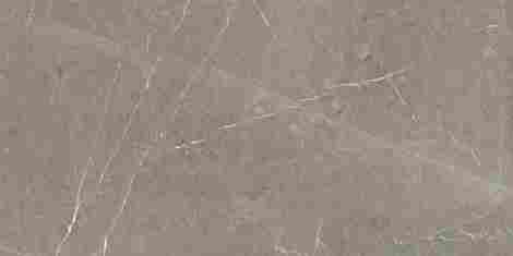Керамогранит Skala Grey Beige/Серо-бежевый Матовый 60x120 фото 5