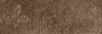 Декор Fusion Life Bronze Mix6 Lap. Liscia 49x97,2 фото 7
