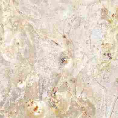Декор Pietra Lavica Lava A (Bianca) S/3 49x49 фото 2