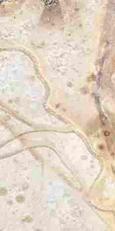 Декор Pietra Lavica Lava A (Bianca) S/4 30x60 фото 4