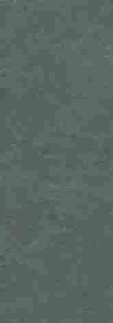 Керамогранит Slate Amazzonia 5 120x300 фото 2