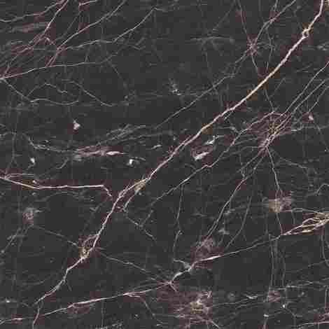Керамогранит Black Arkadia 60x60 фото 4