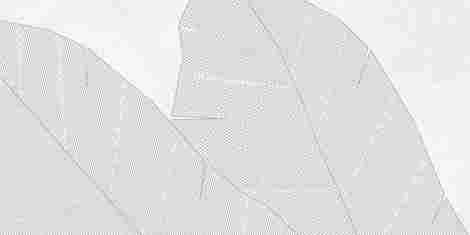 Декор Caravan blanco A367 матовый обрезной 40x80