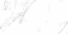 Керамогранит Carrara Blanco PRO белый матовый 60x120 фото 2