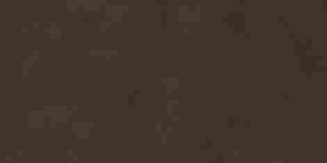 Плитка Evolution marron матовый обрезной 40x80 фото 4