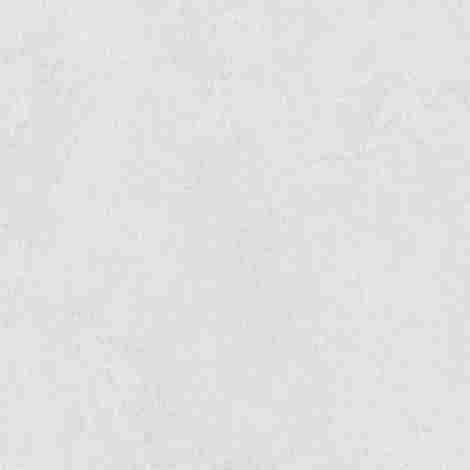 Керамогранит Sandstone Bianco Pro светло-серый матовый 80x80 фото 2
