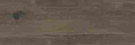 Керамогранит Tabula Grey серый Mатовый 19,7x60 фото 2