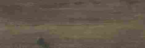 Керамогранит Tabula Grey серый Mатовый 19,7x60 фото 5