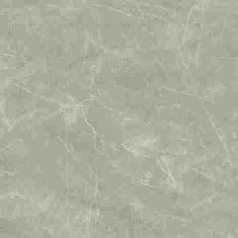 Керамогранит Wolf Grey Сатинированный 80x80 фото 2