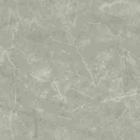 Керамогранит Wolf Grey Сатинированный 80x80 фото 3