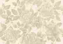 Панно Allmarble Wall Decoro Rose Satin (из 2-х плиток) Golden White 80x120