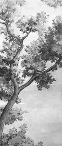 Декор Grande Resin Look Grisaille A Bianco 120x278