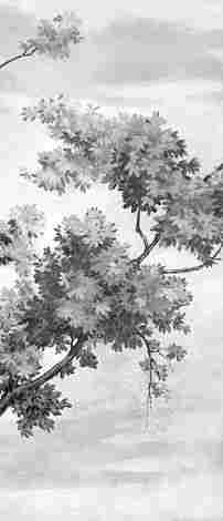 Декор Grande Resin Look Grisaille C Bianco 120x278