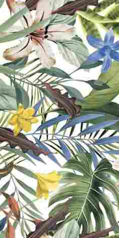 Керамогранит Tropical B 60x120