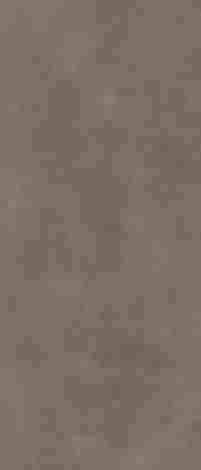 Керамогранит Architeq Brown rect mat 119,8x279,8 фото 3