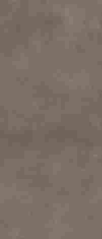 Керамогранит Architeq Brown rect mat 119,8x279,8 фото 6