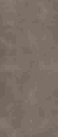 Керамогранит Architeq Brown rect mat 119,8x279,8