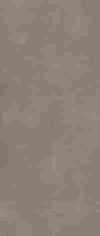 Керамогранит Architeq Light brown rect mat 119,8x279,8