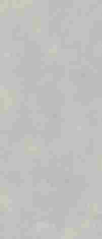 Керамогранит Architeq Light grey rect mat 119,8x279,8 фото 3